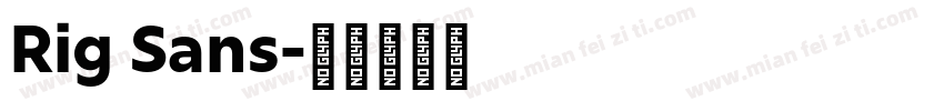 Rig Sans字体转换